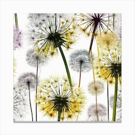 Dandelion Canvas Print