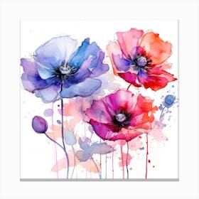 Watercolor Poppies 5 Canvas Print