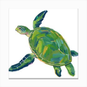 Green Sea Turtle 04 Canvas Print