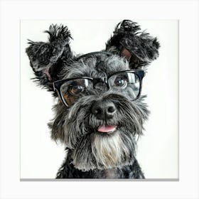 Schnauzer In Glasses Canvas Print