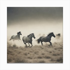 Horses show us freedom, running wild, dusty  Canvas Print