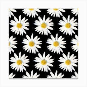 White Daisies On Black Background Canvas Print