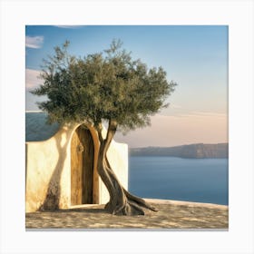 Olive Tree In Sunlight (II) Canvas Print