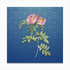 Vintage Shining Rosa Lucida Botanical on Bahama Blue Pattern n.1740 Canvas Print