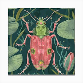 Beetle 27 Canvas Print