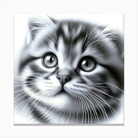 Feline Cat Creative Artwork Illustration 114 Canvas Print