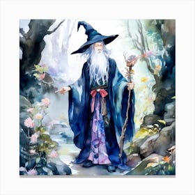 Forest Wizard Canvas Print