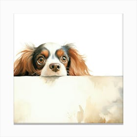 King Charles Spaniel Dog Canvas Print