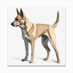 Carolina Dog 3 Canvas Print