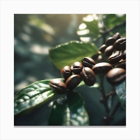 Coffee Beans On A Tree 65 Canvas Print