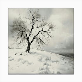 Lone Tree 1 Canvas Print