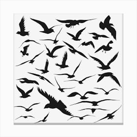 Black And White Bird Silhouette Canvas Print