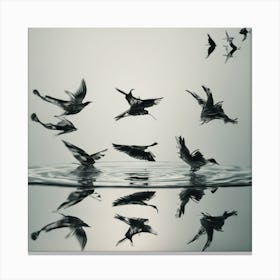 Birds In Flight 1 Canvas Print