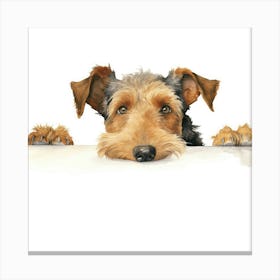 Welsh Terrier Dog Canvas Print