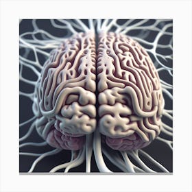 Brain With Nerves 3 Canvas Print