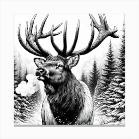 Line Art elk 3 Canvas Print