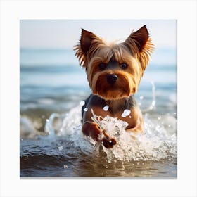 Yorkshire Terrier Canvas Print