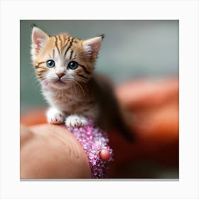 Cute Kittens Canvas Print