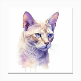 Thai Lilac Cat Portrait 1 Canvas Print