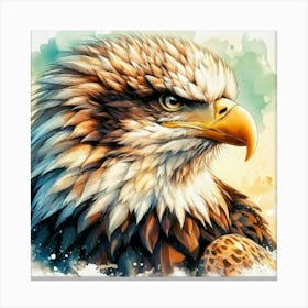 Bald Eagle 2 Canvas Print