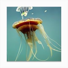 Flying Jelly 7 Canvas Print