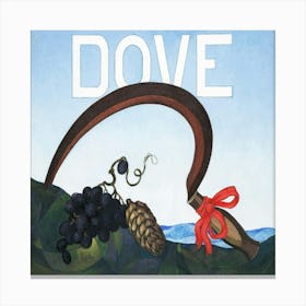 Dove s 1 Canvas Print