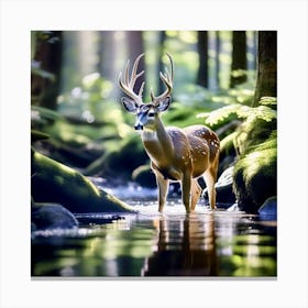 Deer In The Stream Canvas Print