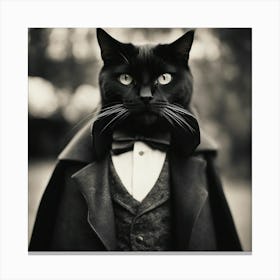 Dracula Cat Old Photography Style Canvas Print