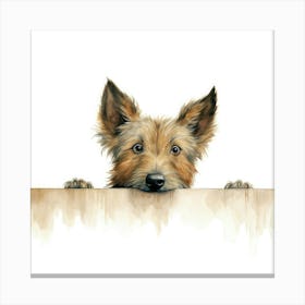 Irish Terrier 2 Canvas Print