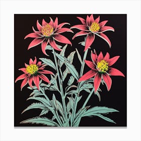 Edelweiss 4 Pop Art Illustration Square Canvas Print