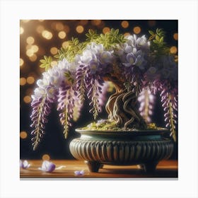 Wisteria Bonsai 1 Canvas Print