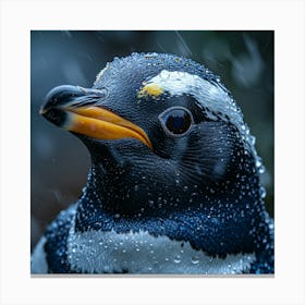 Penguins In The Rain Canvas Print