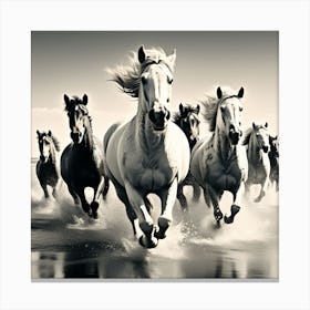 Horses Running On The Beach Canvas Print