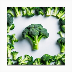 Top View Of Broccoli Canvas Print