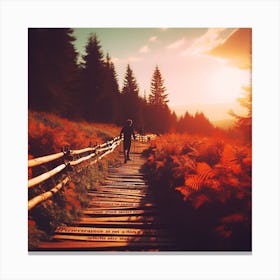 Sunset On A Wooden Path Canvas Print