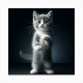Kitten Standing Up Canvas Print