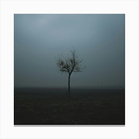 Lone Tree 9 Canvas Print