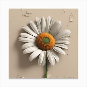 a daisy Canvas Print