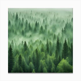 Misty Forest 3 Canvas Print