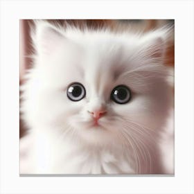 Cute White Kitten 1 Canvas Print