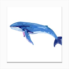 Blue Whale 06 Canvas Print