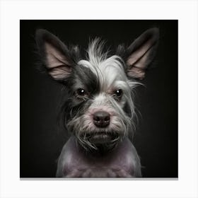 Portrait Of A Dog 4 Canvas Print