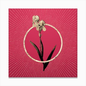 Gold Tall Bearded Iris Glitter Ring Botanical Art on Viva Magenta n.0113 Canvas Print