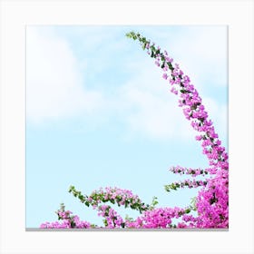 Sky Blossom Canvas Print