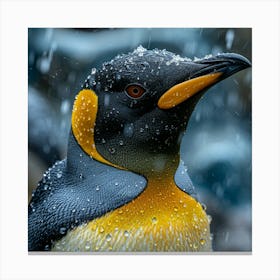 King Penguin 20 Canvas Print