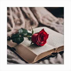 Rose On A Book Canvas Print