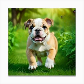 Bulldog Puppy 1 Stampe su tela