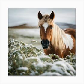 Horse In The Snow 3 Canvas Print