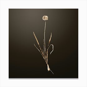 Gold Botanical Mouse Garlic on Chocolate Brown n.1245 Canvas Print