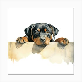 Rottweiler 1 Canvas Print